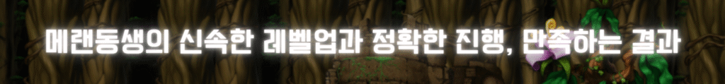 신속하고 정확한 메랜부주를 보장하는 메랜동생